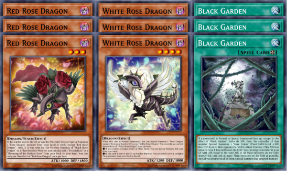 Rose Dragon Deck Core - Ships 9/5