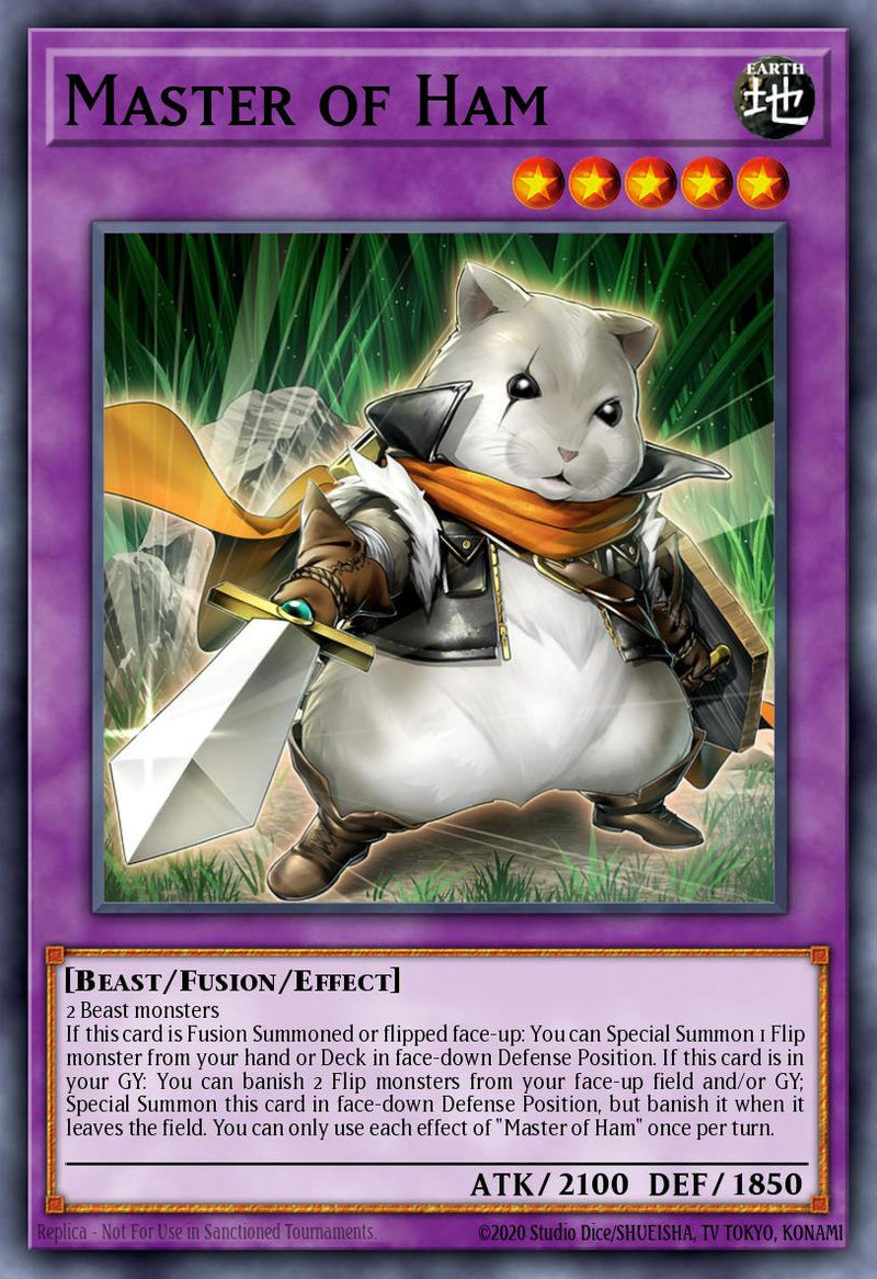 (UR) Master of Ham MP25-EN161 - Ships 9/5
