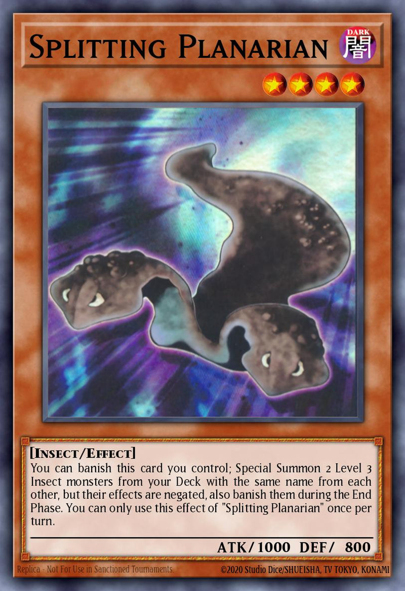 (UR) Splitting Planarian MP25-EN263 - Ships 9/5